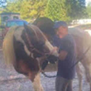 Meet your Posher, Beth